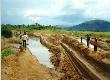 THE CONGO - EP 421 UP THE RABBIT HOLE